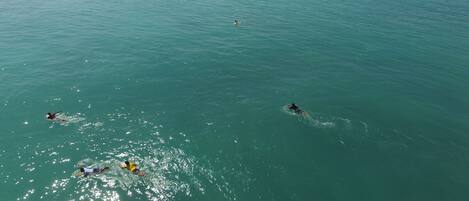 A large body of water with several people swimming or floating.