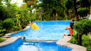 Uma piscina com bordas azulejadas, rodeada por vegetação exuberante e árvores.