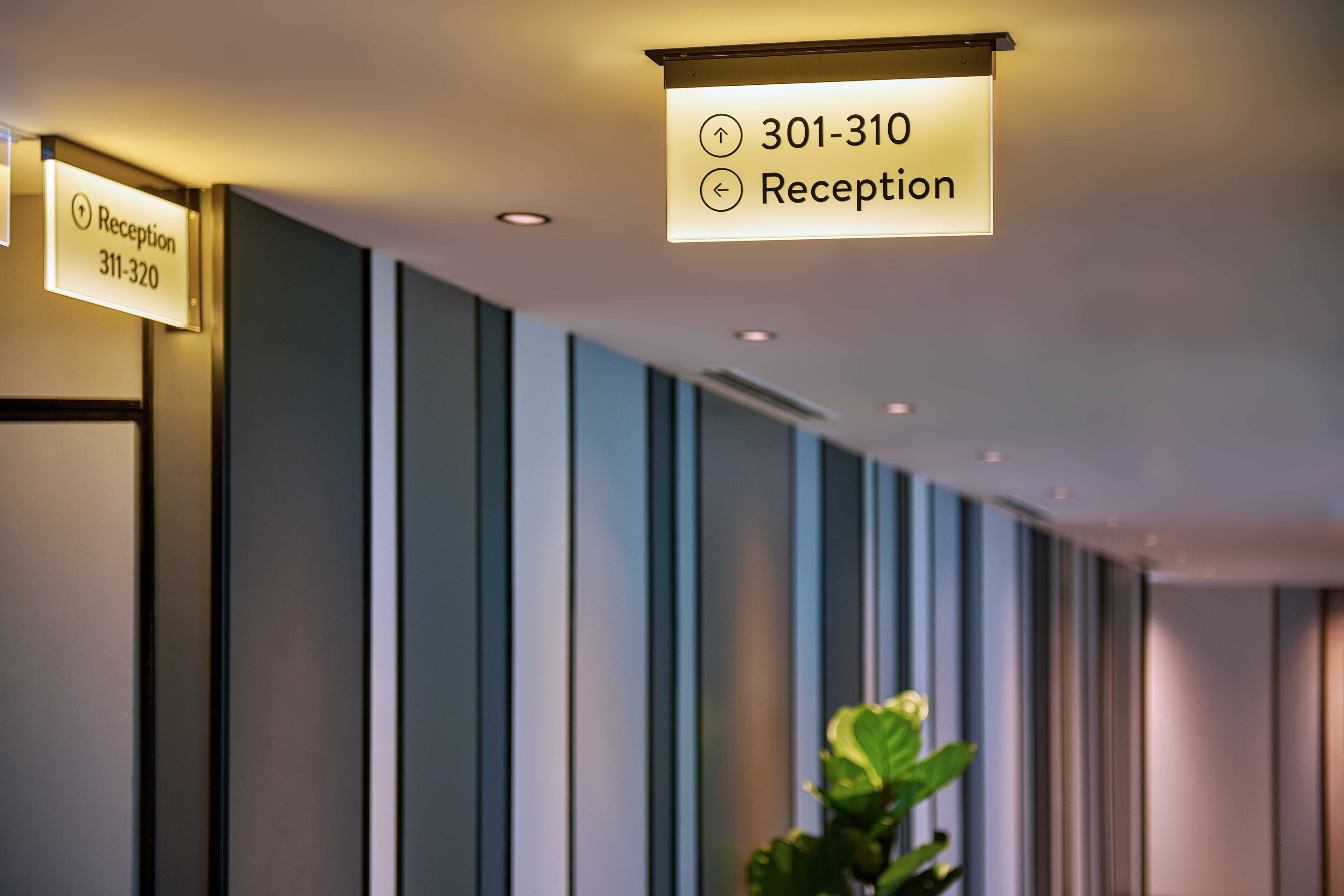 premium bedding, desk, free wifi