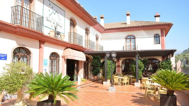 Un patio de hotel con mobiliario exterior, plantas en macetas y un cielo azul despejado.