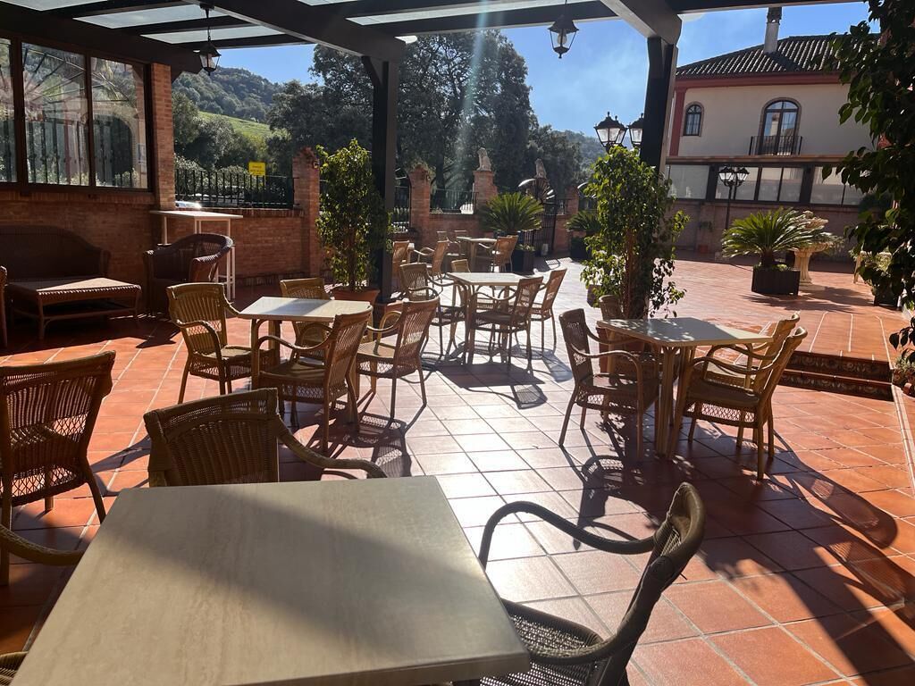 Un patio exterior con mobiliario de mimbre, plantas en macetas y vistas al campo.