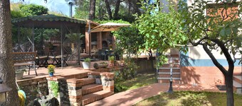 Betulla dell'Etna