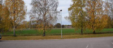 A parking lot with trees and a street lamp.