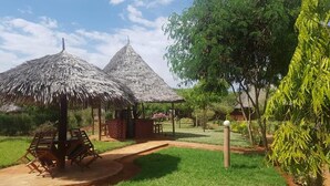 Un jardín con dos construcciones de techo de paja, una mesa de madera y un sendero.