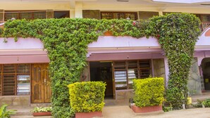 A building with a two-story structure, featuring a large arched entrance covered by climbing ivy. There are two small, rectangular planters with yellow foliage at the entrance.