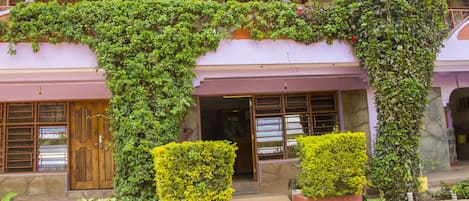 A building with a two-story structure, featuring a large arched entrance covered by climbing ivy. There are two small, rectangular planters with yellow foliage at the entrance.