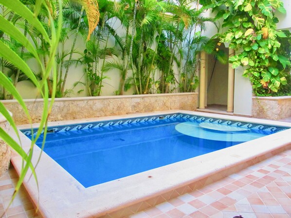 A rectangular swimming pool with a tiled edge, surrounded by various green plants and a stone wall.