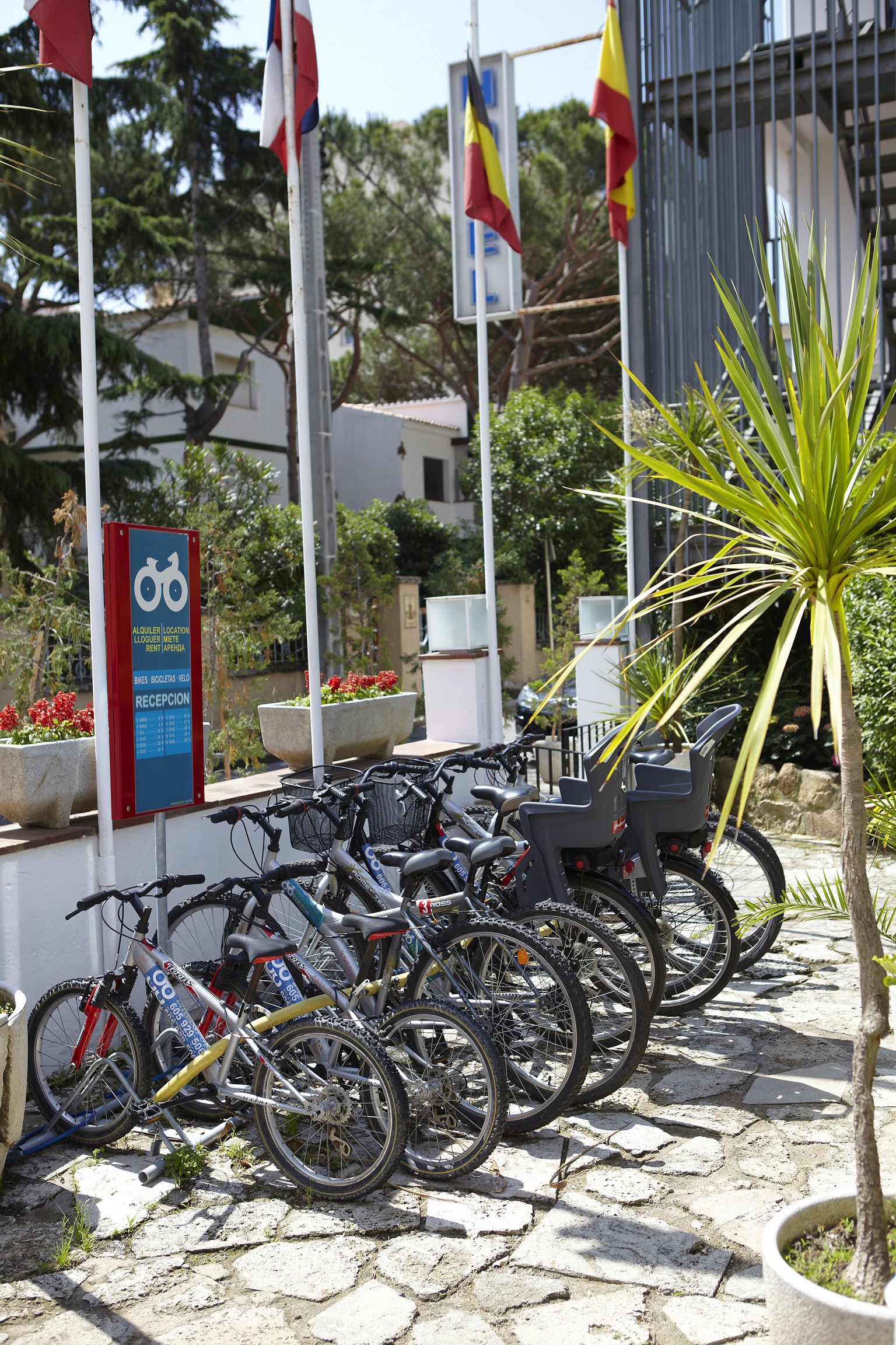 Fietsen