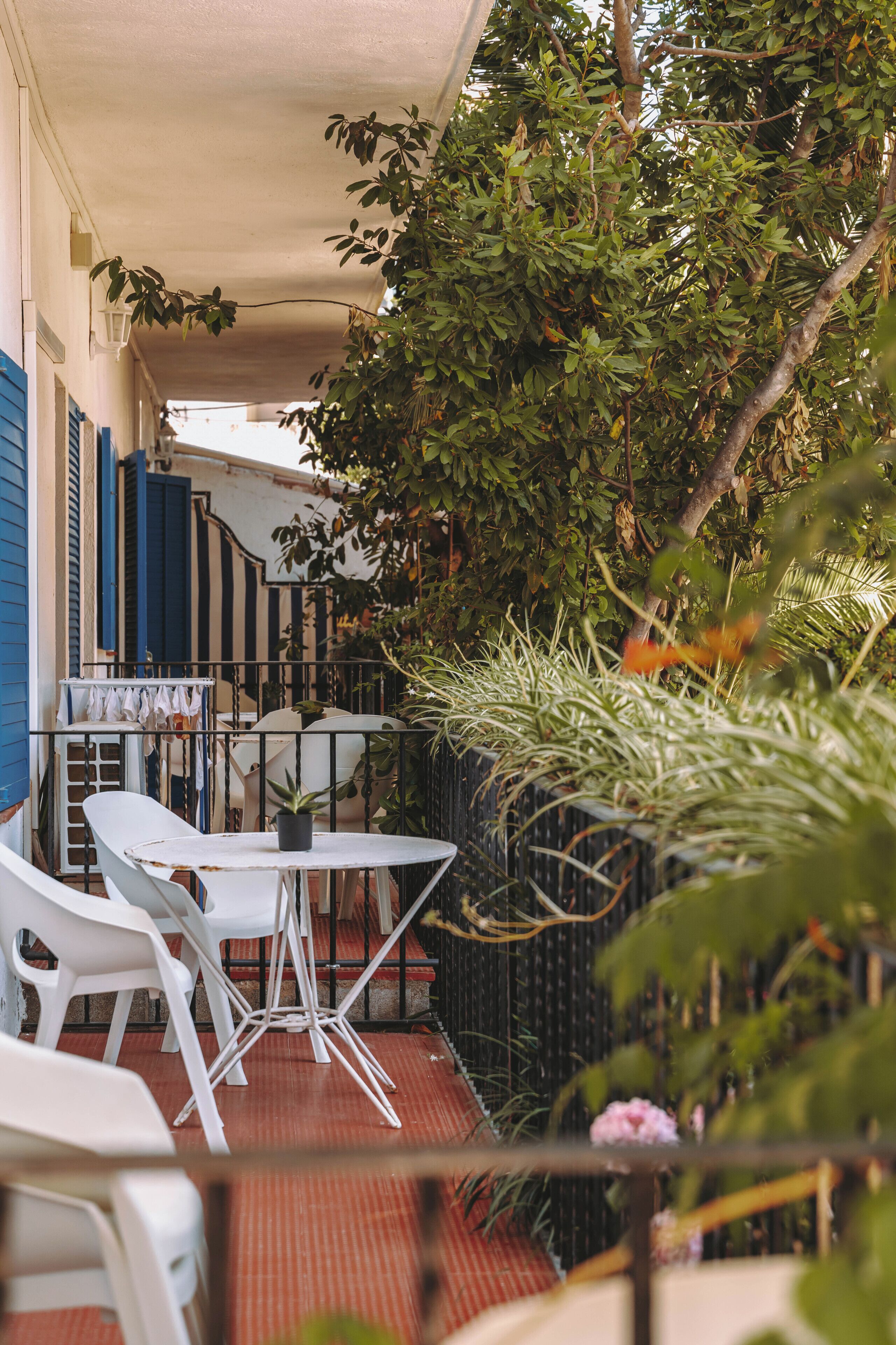 Foto - Hotel Bell Repos
