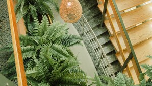 Una escalera con escalones de madera y barandillas de metal, rodeada de helechos verdes y lámparas colgantes tejidas.
