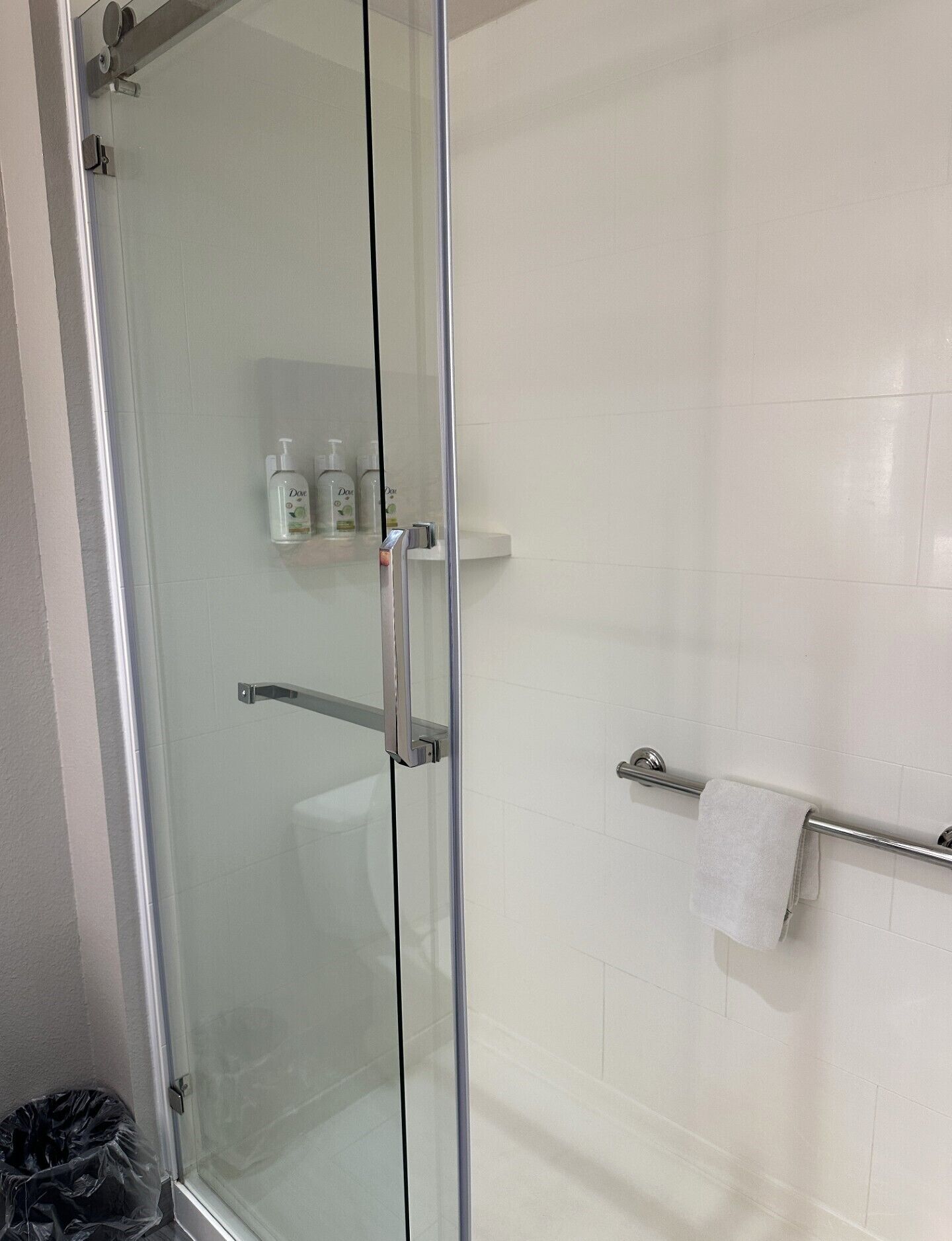 Een douche met glazen wand, een handdoekhouder en toiletartikelen op een plank.