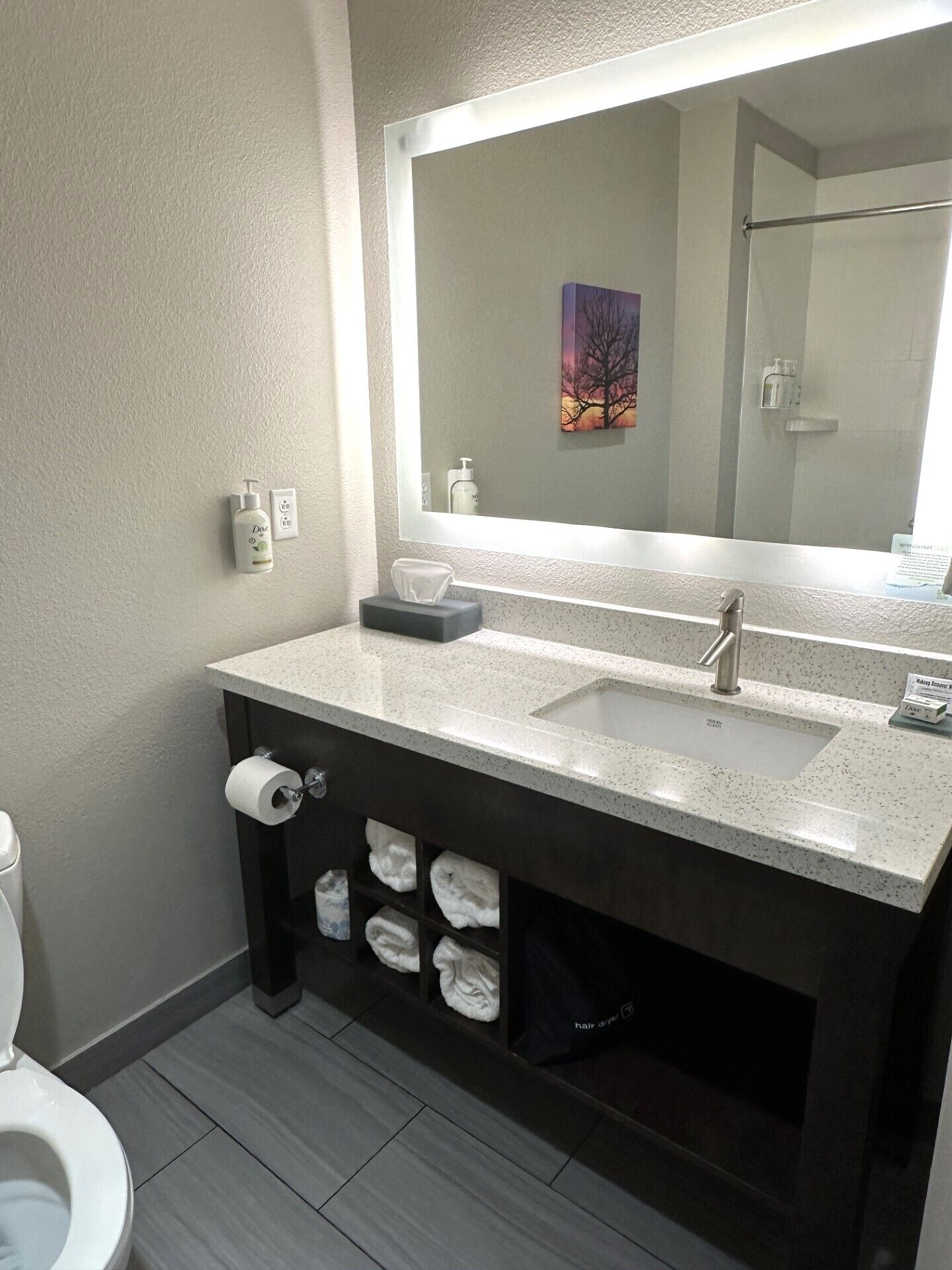 combined shower/bathtub, free toiletries, hair dryer, towels