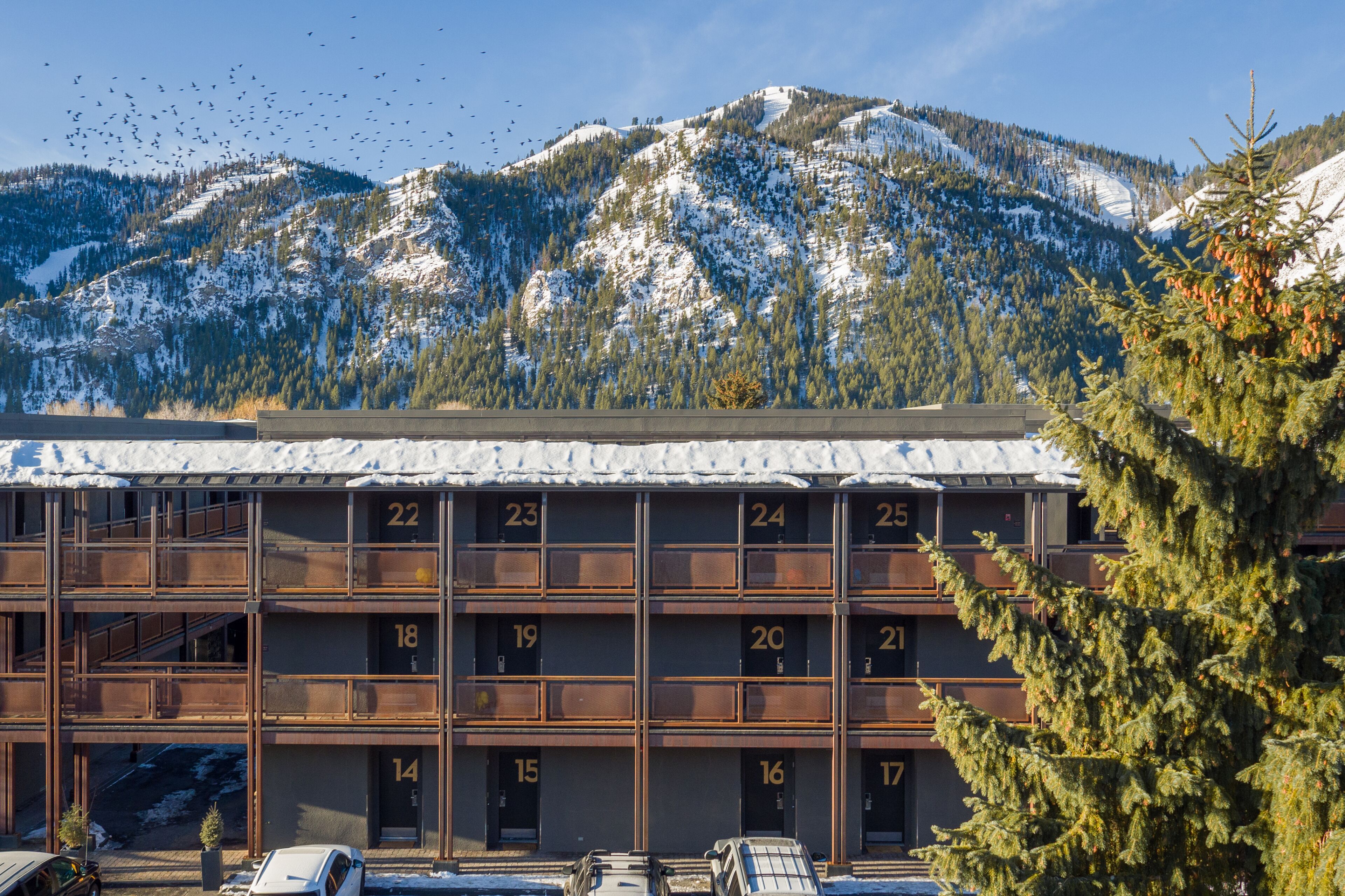 A multi-story building with numbered rooms, a snow-covered mountain backdrop, and a pine tree in the foreground.