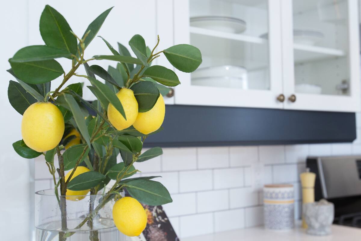 A kitchen with white cabinets, a clear vase with a lemon tree, and a book on the counter.