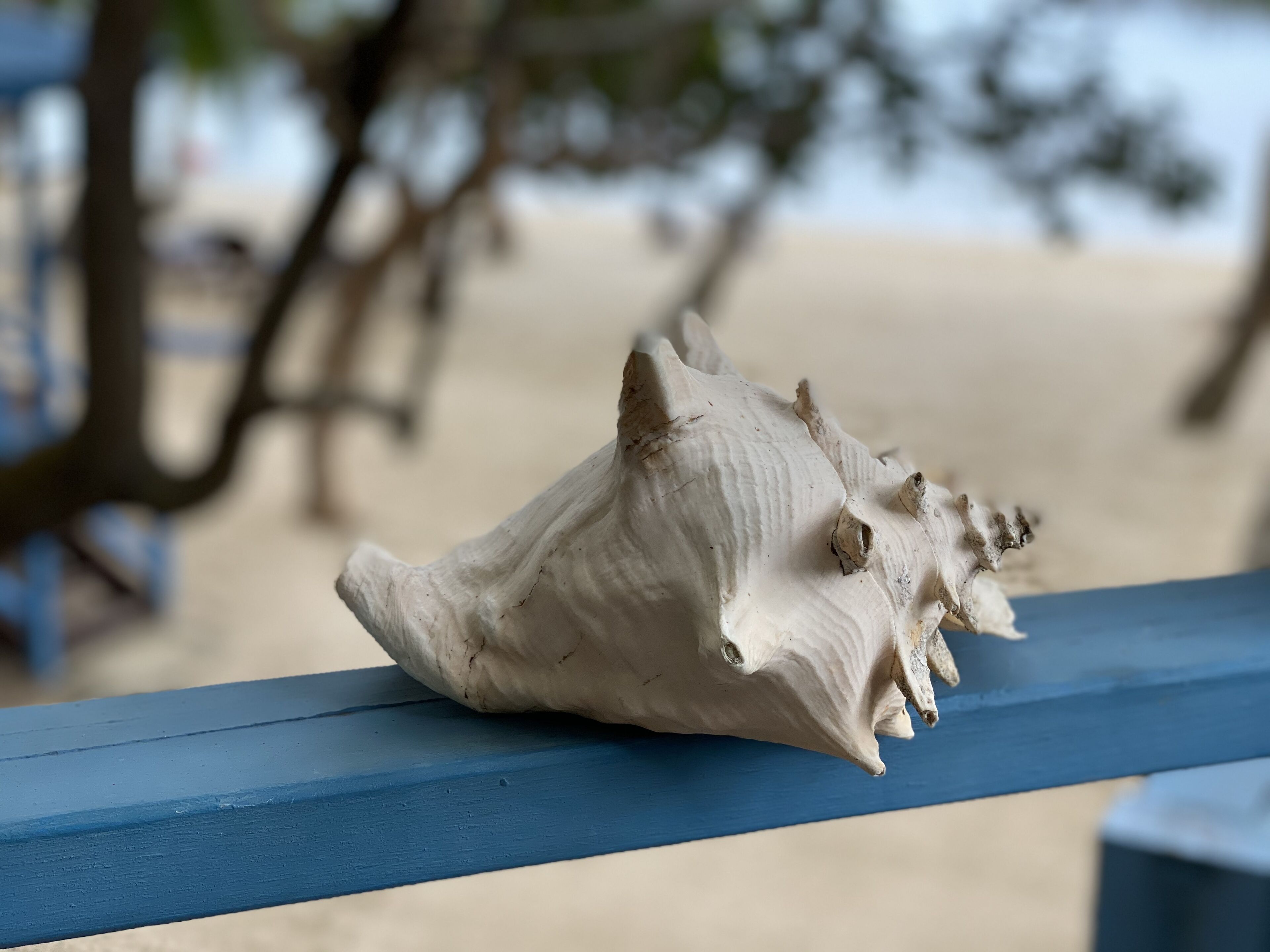 standard room, 1 king bed, balcony, beach view | beach/ocean view