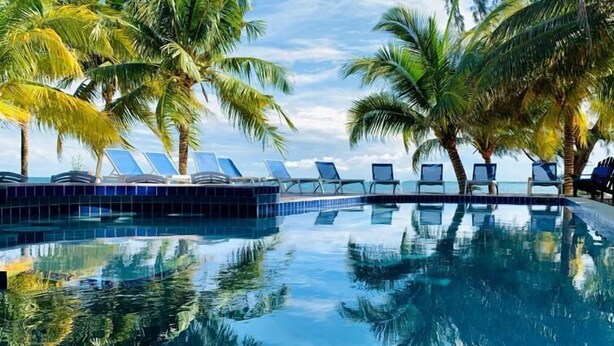 A poolside area with lounge chairs and palm trees.