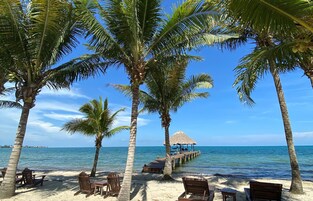 Una playa con palmeras, un muelle de madera y sillas para tomar el sol.