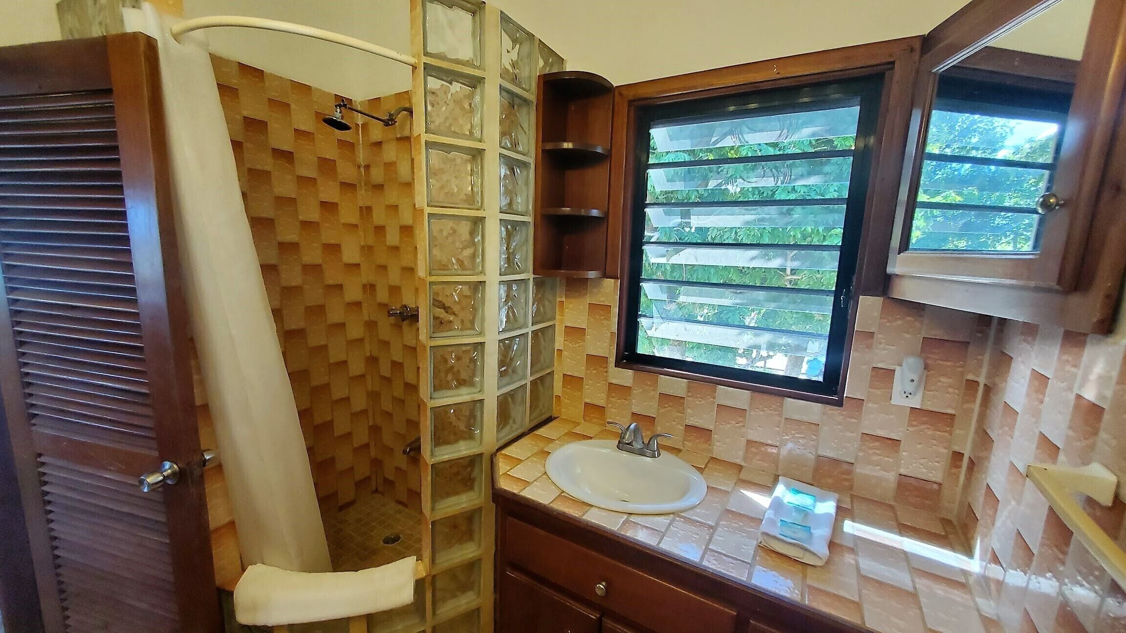 A bathroom with a shower, a sink, and a window with a view of greenery.