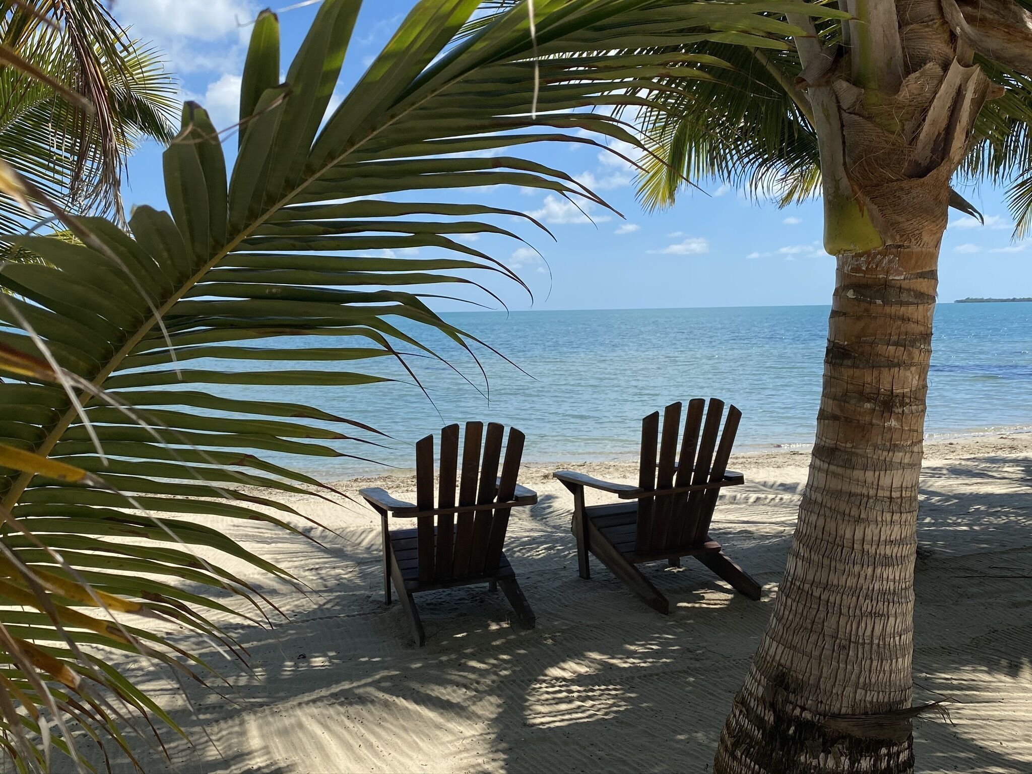 Une scène de plage avec deux chaises en bois et un palmier.