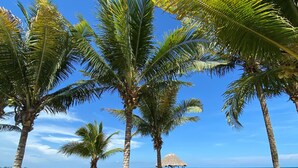 A beach with palm trees, wooden chairs, and a thatched-roof structure.