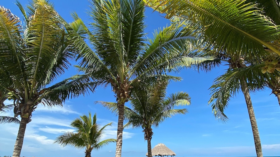 Maya Beach Hotel