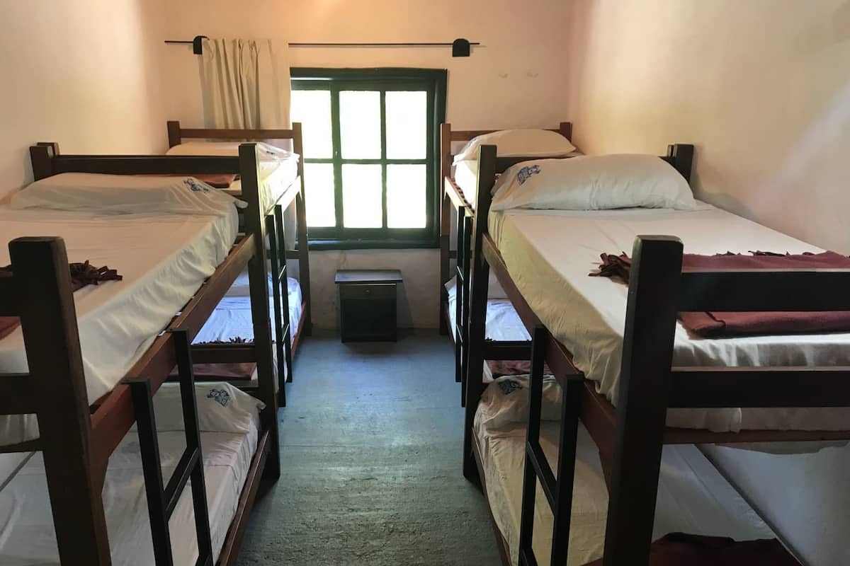 Economy Shared Dormitory, Multiple Beds
