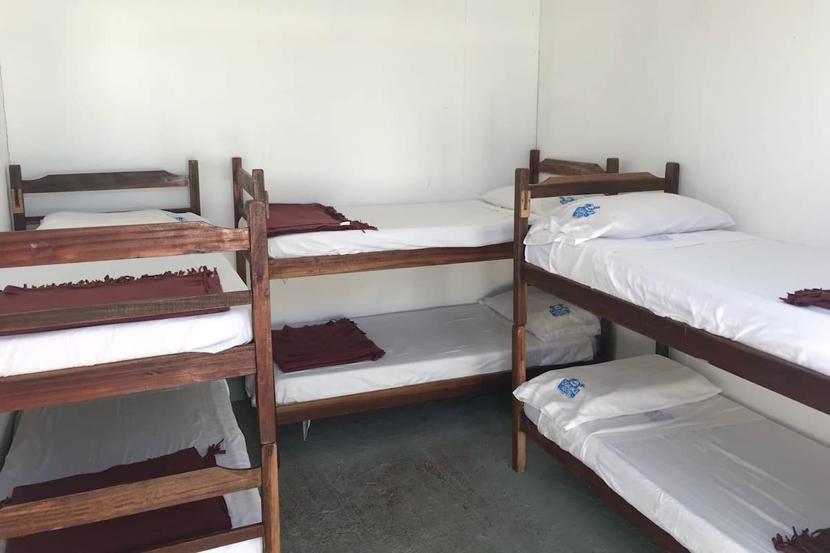 Basic Shared Dormitory, Mixed Dorm