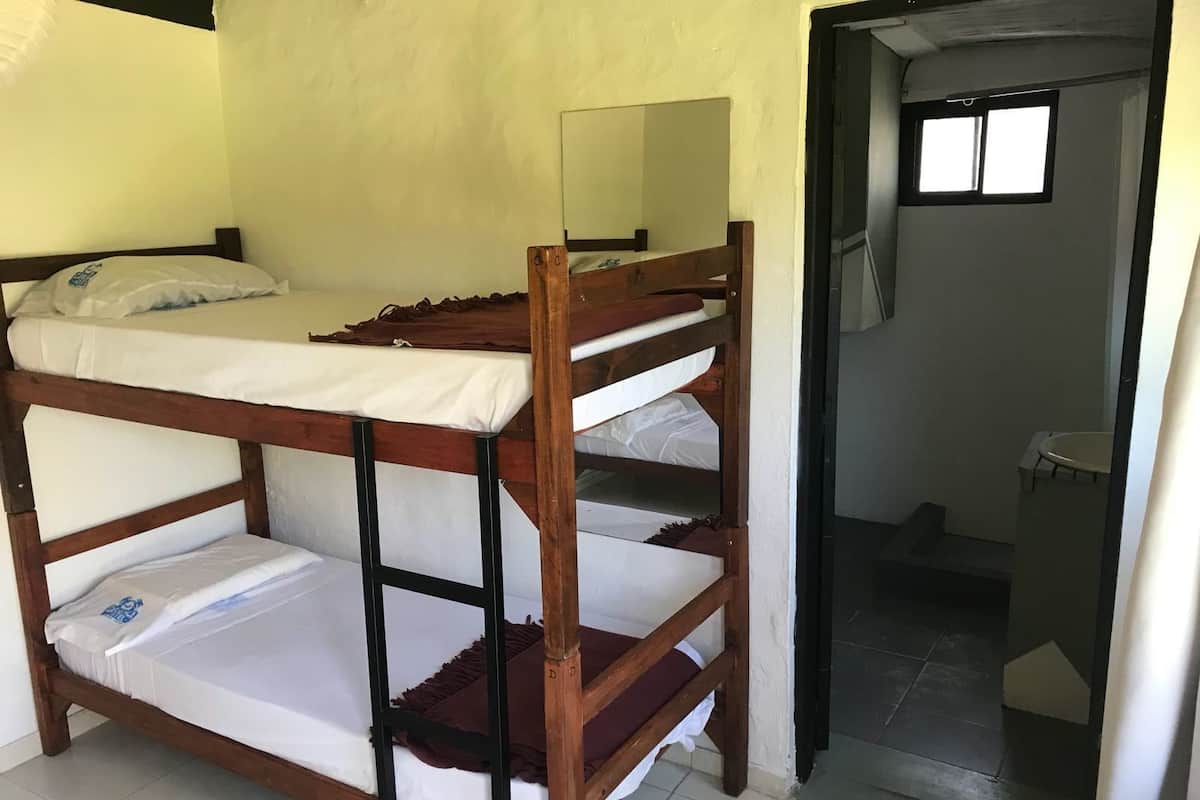 Superior Shared Dormitory, Multiple Beds