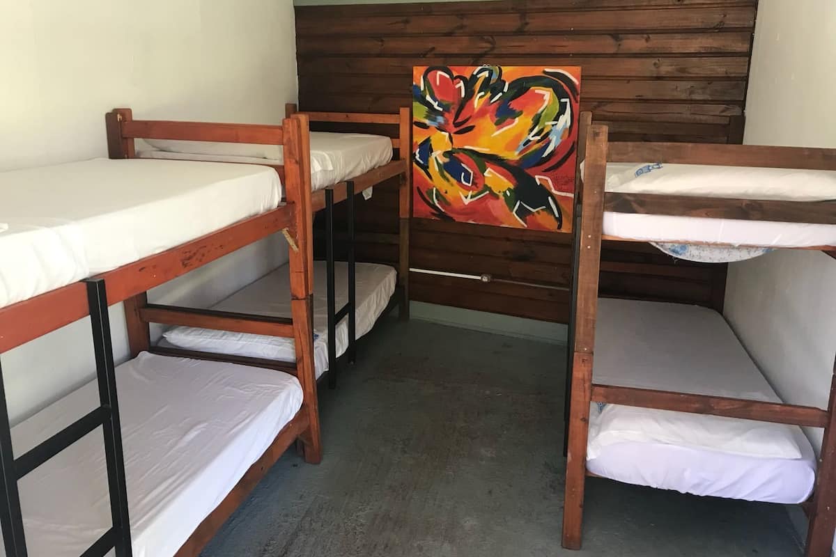 Dormitorio compartido básico, solo para mujeres, vista a la alberca | Escritorio y wifi gratis