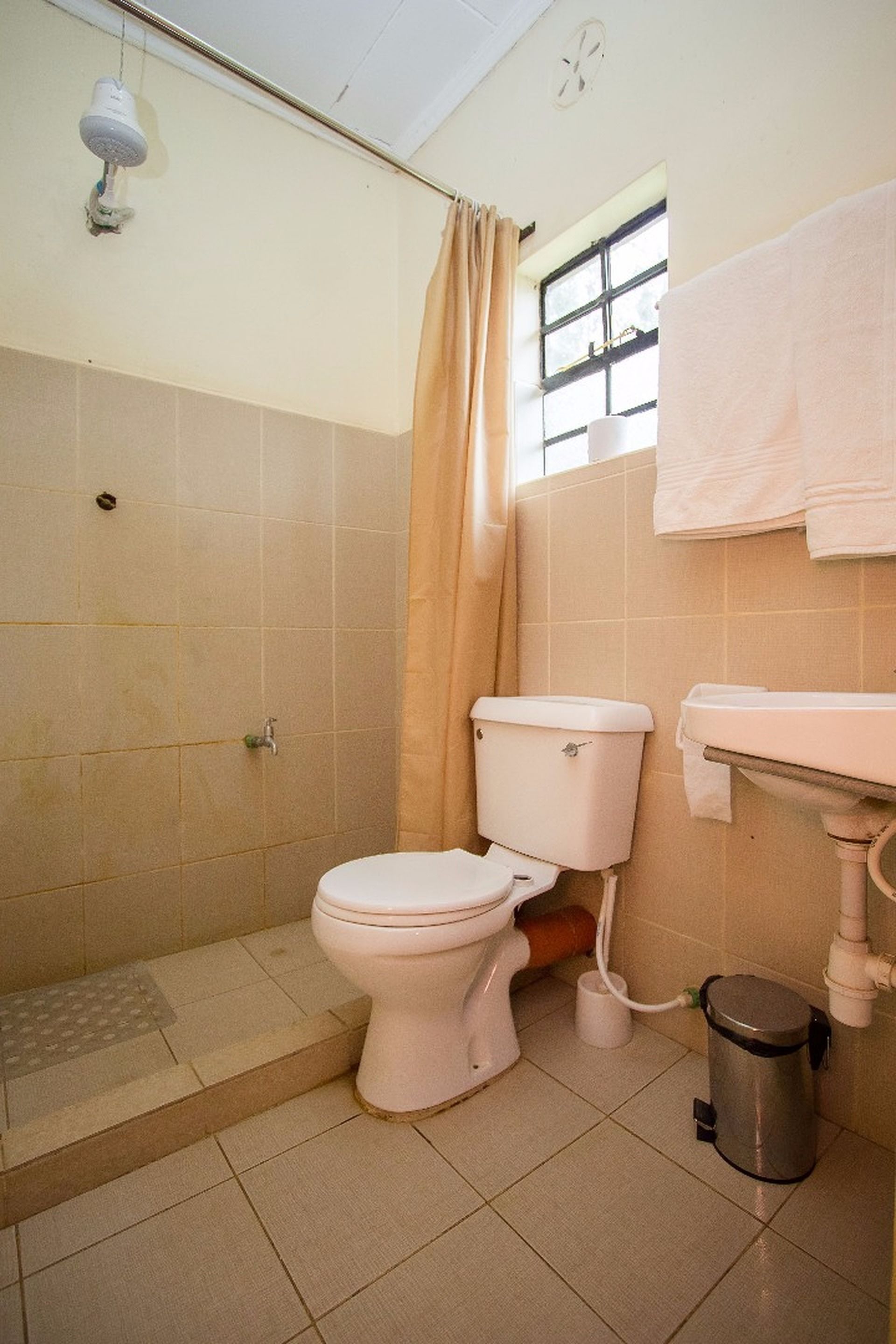 A bathroom with a toilet, sink, and shower.