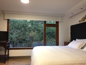 Standard Suite | View from room