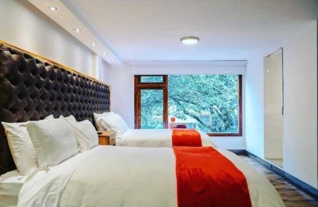 Photo - Dolce Lobo Boutique Stay