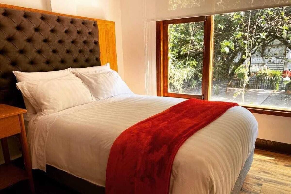 A neatly made bed with white linens and a red throw blanket, a wooden headboard, and a window with a view of greenery outside.