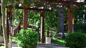 A wooden pergola with a hammock, potted plants, and birdhouses in a lush garden setting. - Pousada do Bosque (Canela)