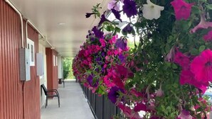 Een gang met een rij hangende bloemen en een bankje.