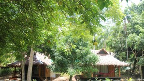 A rustic treehouse with a thatched roof, surrounded by lush greenery and a rope barrier. - La Habana Amazon Reserve (Tambopata)