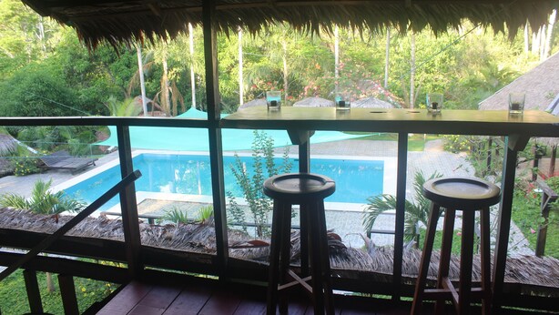 A wooden deck with a thatched roof, overlooking a pool and lush greenery. - La Habana Amazon Reserve (Tambopata)