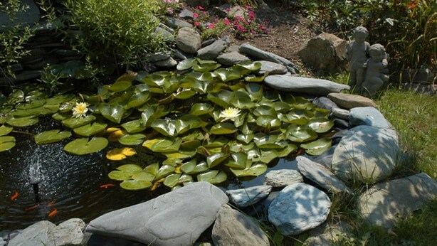 A pond with lily pads and a statue of children. - Gardenview Bed and Breakfast (Newport)