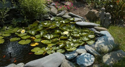 Gardenview Bed and Breakfast