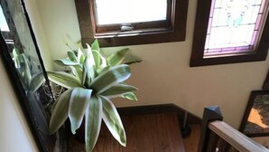 A staircase with wooden steps and a potted plant on the left. - Gardenview Bed and Breakfast (Newport)