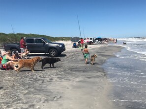 Plage à proximité, chaises longues