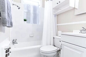 Hair dryer, towels, soap, shampoo