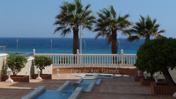 A pool area with a view of the sea, palm trees, and a white fence.