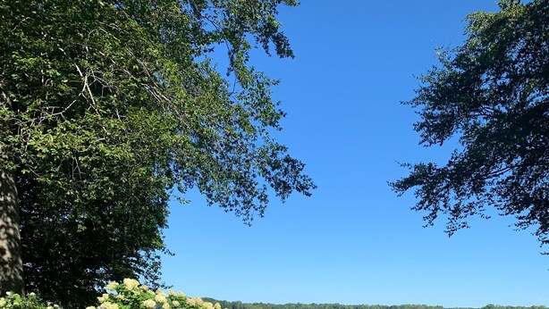 A wooden deck with a railing overlooking a lake, surrounded by greenery and a clear blue sky.