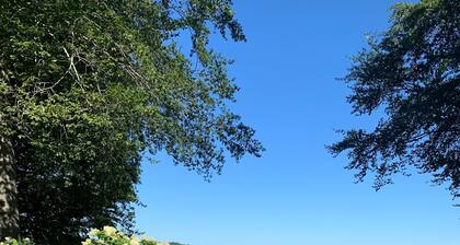 Gorgeous Sandy Beachfront Paw Paw lake home with 155 ft. of frontage and dock