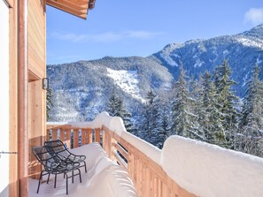 Property grounds - Chalet Grand Roi - La Tzoumaz, 4 Vallees (La Tzoumaz)