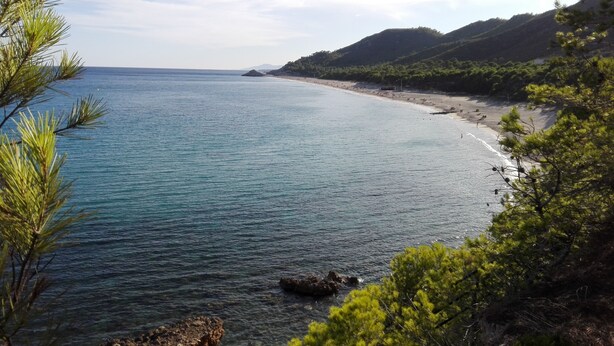 Un paysage côtier avec une mer bleue et limpide, une plage de sable et une végétation luxuriante environnante.