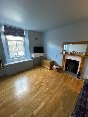 智能電視、壁爐、DVD 播放機