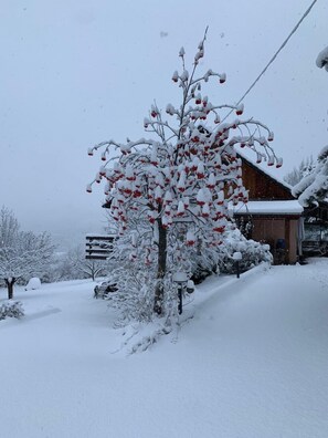Property grounds - La Pommière 5* - sleeps 14 superb views 15 minutes ski station bain nordique (Beauvezer)