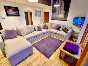 TV connectée, cheminée, livres, médiathèque